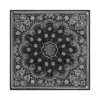 Paisley Leather Bandana